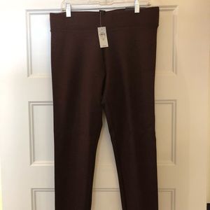 NWT loft burgundy legging